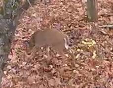 good
                                          oppotrunity