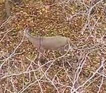 good
                                          opportunity2