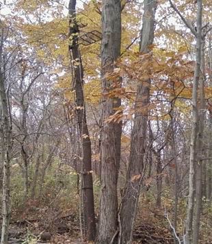 hang
                  on 2